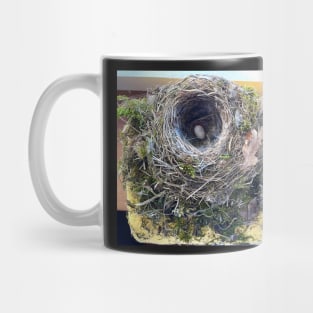 Birds Nest inside the Bathroom Mug